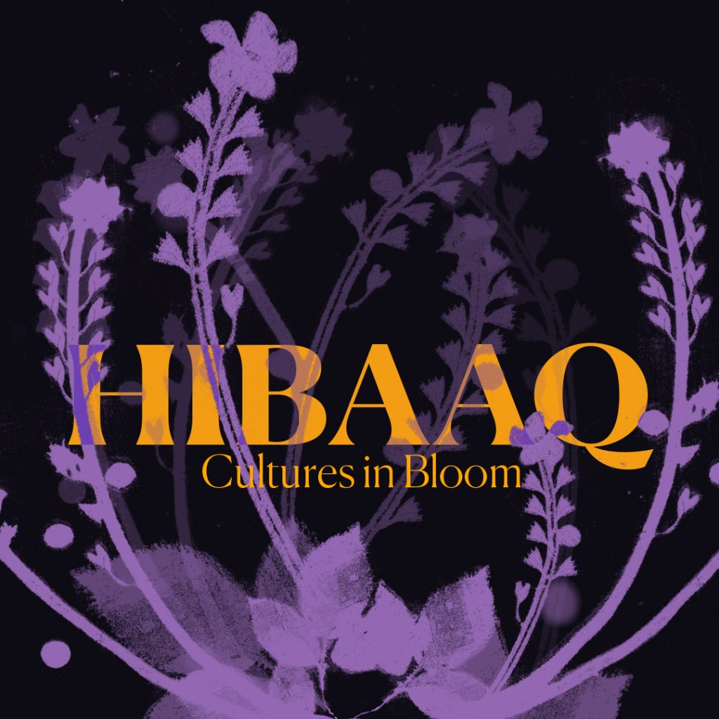 Hibaaq