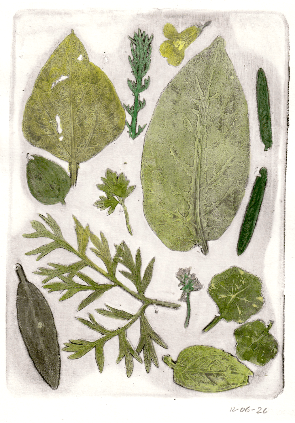 Nature Print